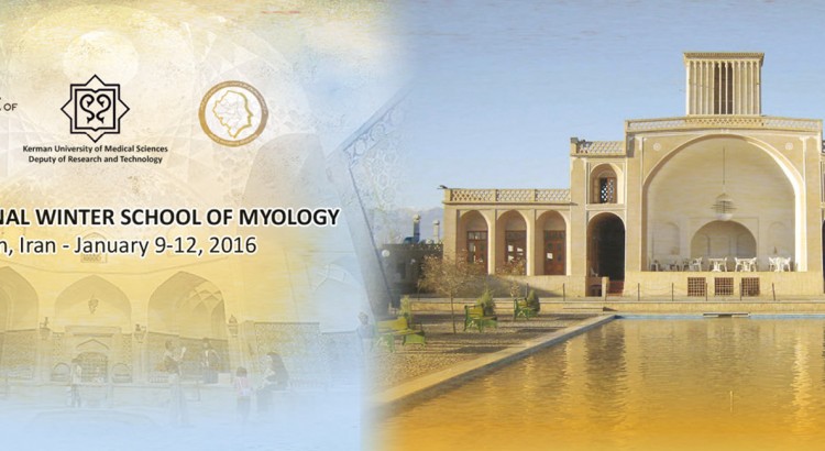DiapoMyology